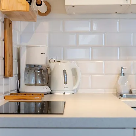 Apartament Na Urlop - Scisle Centrum Wisly - Apartament Z Ogrodkiem Przyjazny Kotkom I Pieskom *